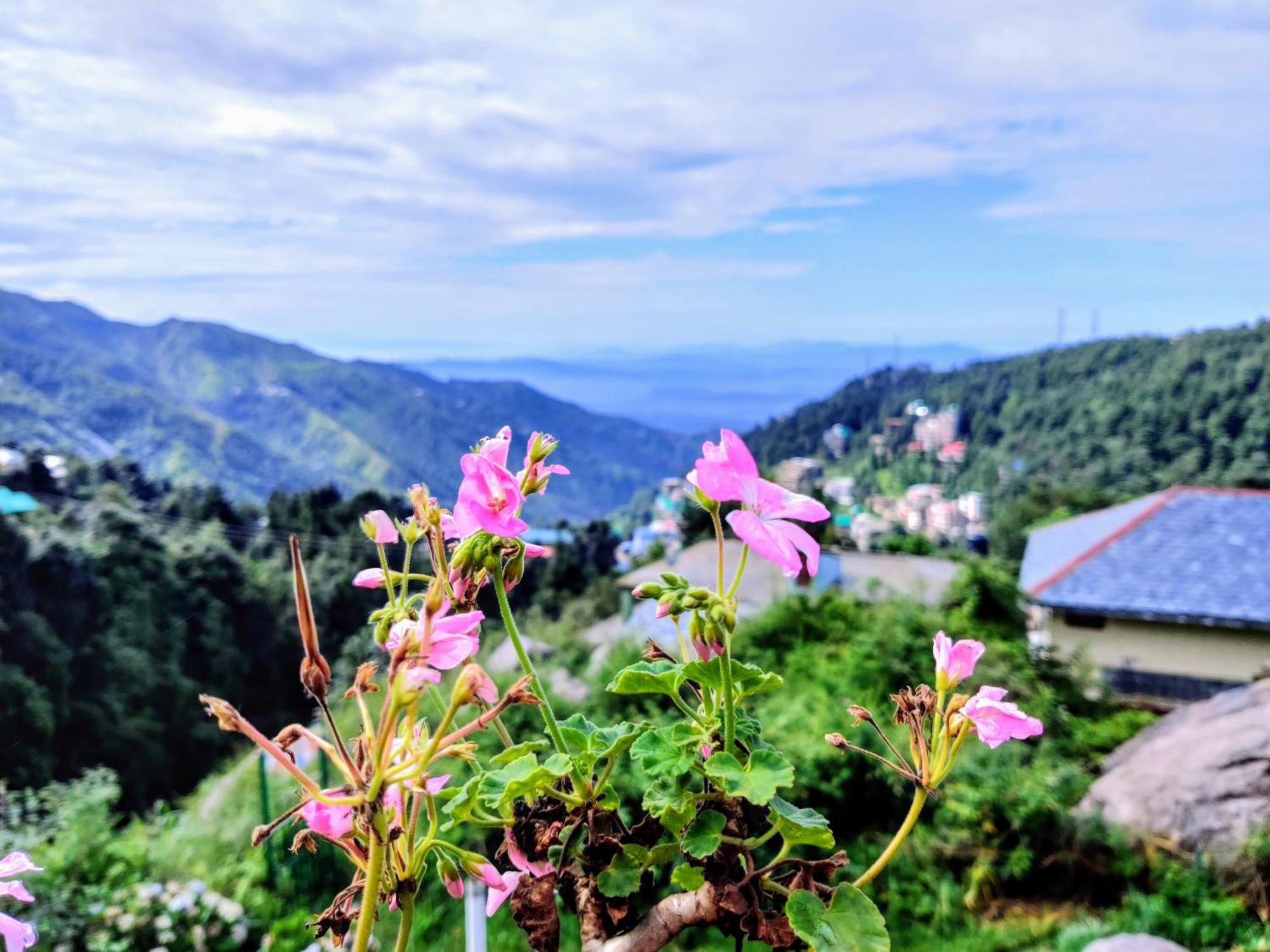Utopia Hostels Dharamkot Mcleodganj Дармсала Екстер'єр фото
